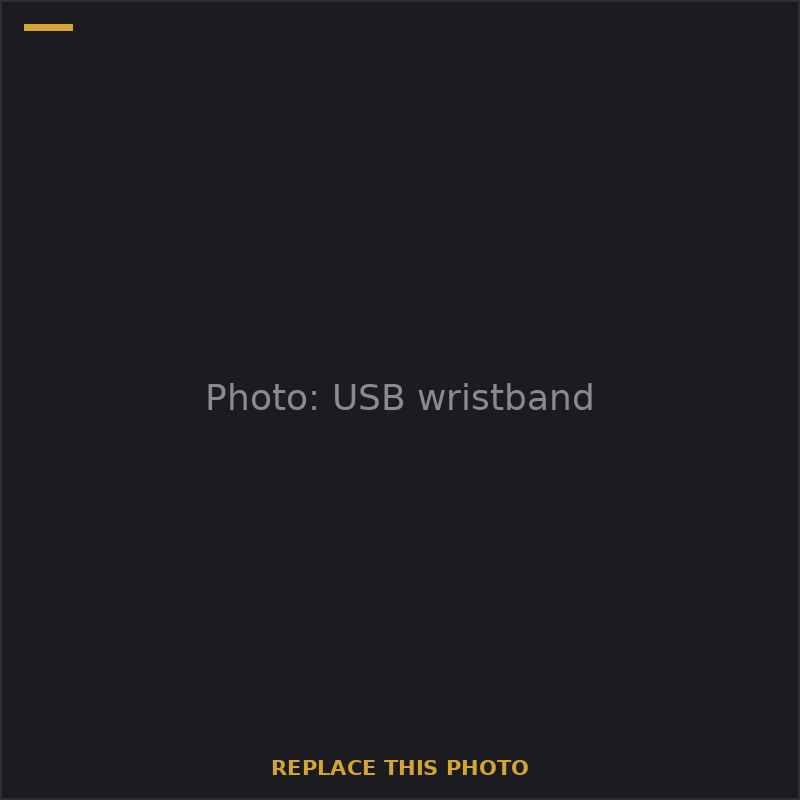 USB wristband