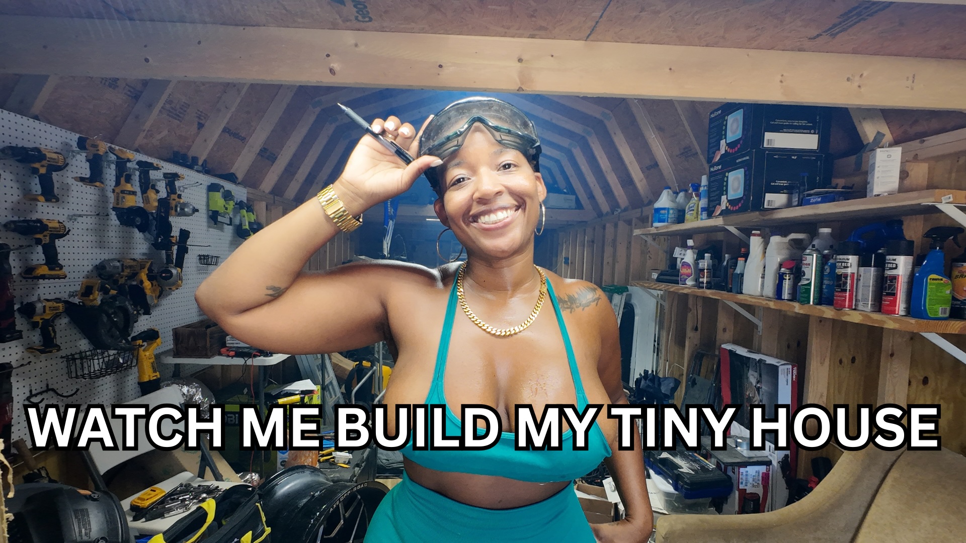 Van Build: Watch Me Build My TinyHome… and MOBILE STUDIO